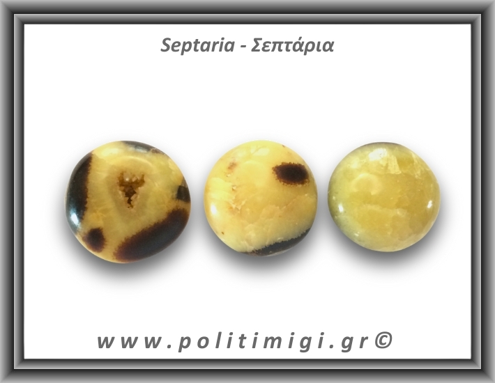 Σεπτάρια Palm Stone 61-65gr 4-4,5cm
