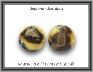 Σεπτάρια Palm Stone 61-65gr 4-4,5cm