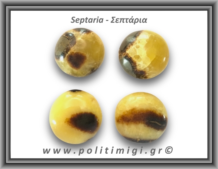 Σεπτάρια Palm Stone 66-70gr 3,5-4cm