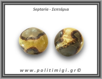 Σεπτάρια Palm Stone 66-70gr 3,5-4cm