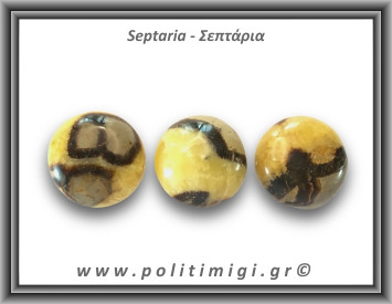 Σεπτάρια Palm Stone 71-75gr 4-5,5cm