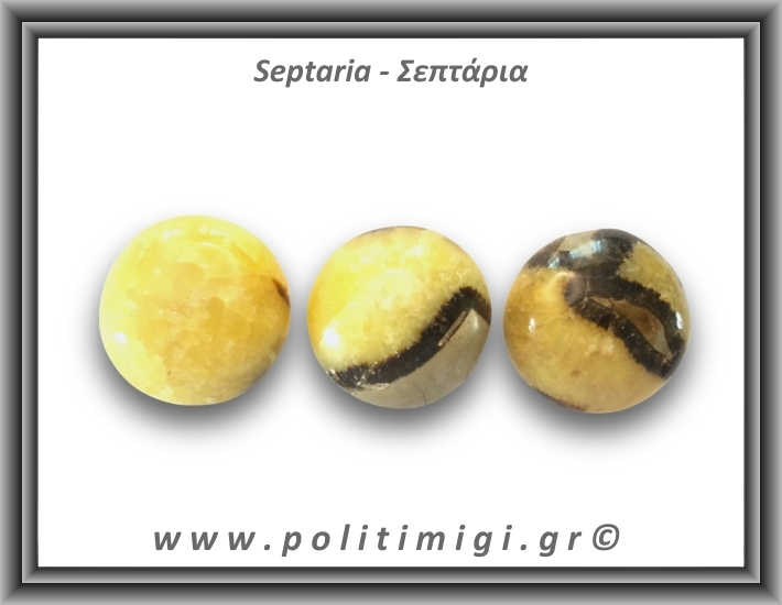 Σεπτάρια Palm Stone 71-75gr 4-5,5cm
