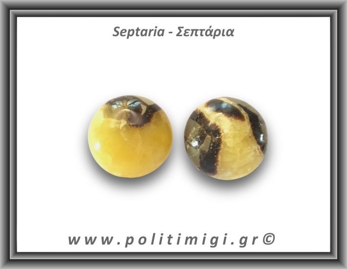 Σεπτάρια Palm Stone 71-75gr 4-5,5cm