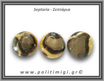 Σεπτάρια Palm Stone 76-80gr 4-4,5cm