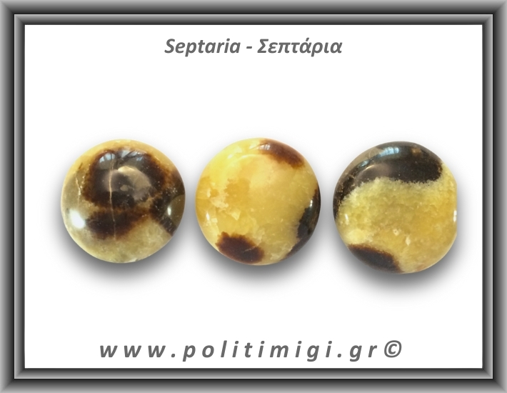 Σεπτάρια Palm Stone 76-80gr 4-4,5cm