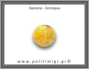Σεπτάρια Palm Stone 86,7gr 4,5x4cm