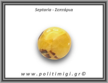 Σεπτάρια Palm Stone 86,7gr 4,5x4cm