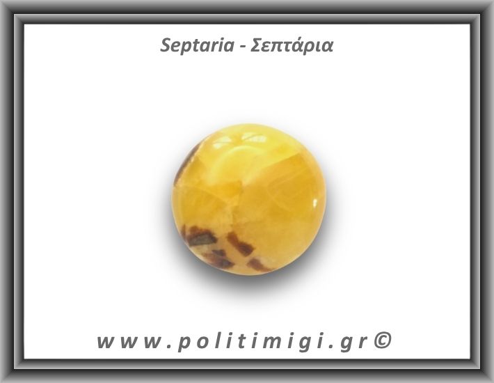 Σεπτάρια Palm Stone 86,7gr 4,5x4cm