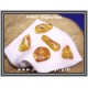 Κεχριμπάρι Χρυσοκίτρινο Νεφελώδες Ακατέργαστο 3,1-4gr 2,5-3,8cm
