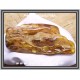 Κεχριμπάρι Χρυσοκίτρινο Πυκνό Νεφελώδες Ακατέργαστο 61gr 10,3x4,2x2,8cm