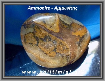 Αμμωνίτης Απολίθωμα Βότσαλο Giga 111gr 6cm