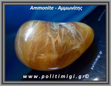 Αμμωνίτης Απολίθωμα Giga 131gr 5,9cm