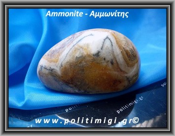 Αμμωνίτης Απολίθωμα Βότσαλο Giga 65,8gr 5,3cm