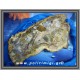 Απολιθωμένο Ξύλο Ακατέργαστο 4900gr 36,5x20x3,5cm