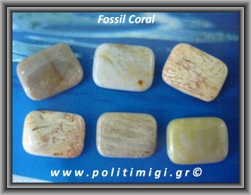Κοράλλι Fossil Καμπουσόν Ορθογώνιο 2-2,4gr 20x15x3-4mm