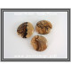 Ίασπις Picture Palm Stone 18-25gr 4-4,2cm