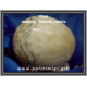 Όνυχας Ανκερίτης Σιδερίτης Καλσίτης Αυγό 3326gr 14x15cm